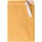 JAM Paper Brown Kraft Manila Open End Catalog Premium Envelopes with Peel & Seal Closure